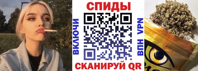 магазин    MEGA как войти  Бутират 1.4BDO  Пестово 