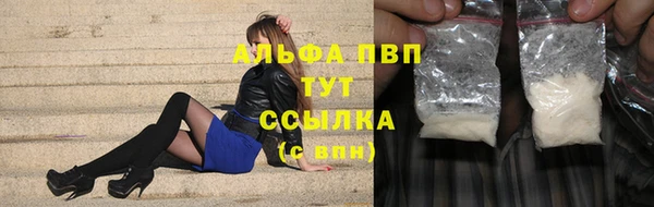 шишки Сосновый Бор