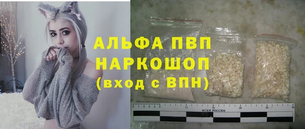 индика Богданович