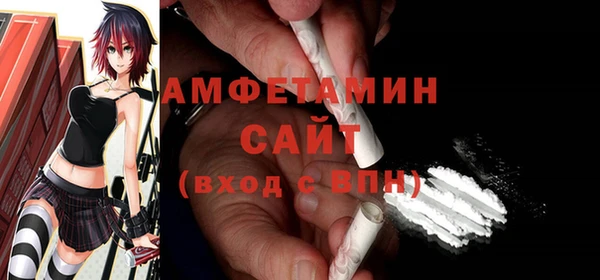 индика Богданович