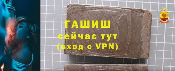 индика Богданович