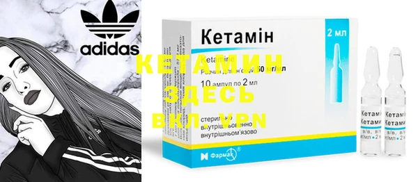 индика Богданович