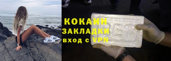 индика Богданович