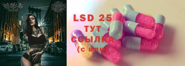 индика Богданович