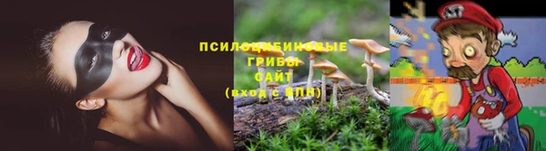 дурь Богородицк