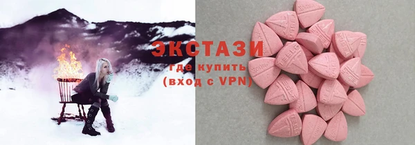 индика Богданович