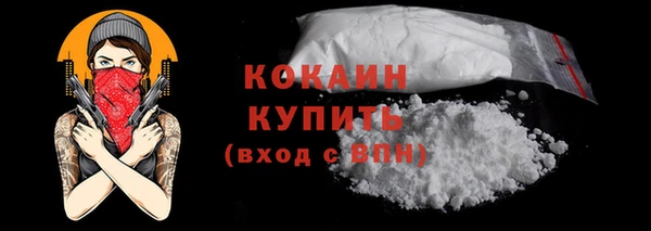 индика Богданович