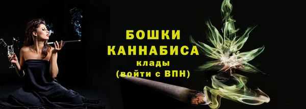 apvp Богородск