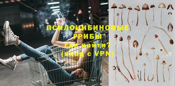 индика Богданович