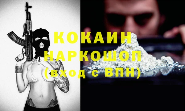 индика Богданович